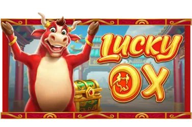 jeetwi FAQ — Myanmar Online Casino အမေးများသော မေးခွန်းများ